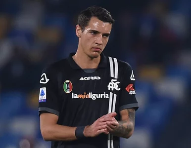 Miniatura: Nowa twarz w polskiej kadrze? Michniewicz...