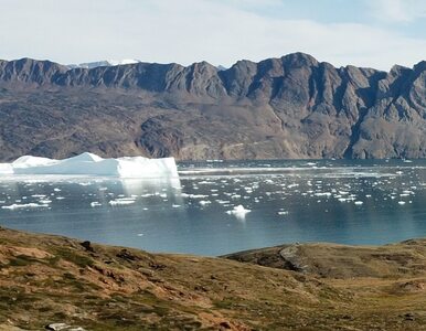 Jak wygląda praca polarników na Grenlandii? „Jesteśmy naukowcami...