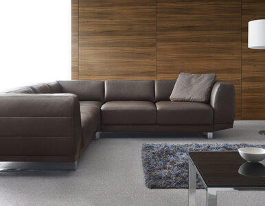 Miniatura: Cieszyć się wygodą  trendy 2013 Etap Sofa