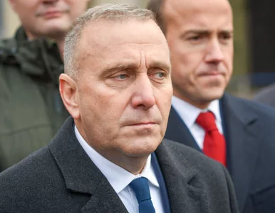 Miniatura: Zarząd krajowy PO. Schetyna deklaruje...