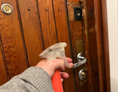 Miniatura: Kilka psiknięć na drzwi wejściowe teraz, a...