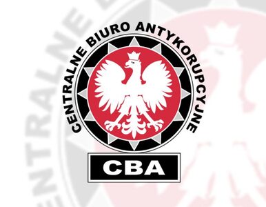 Miniatura: CBA: Areszt dla pracownicy Ministerstwa...