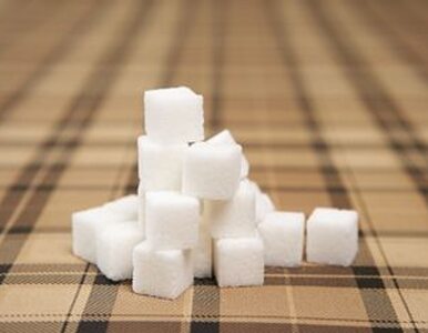 Miniatura: Będziemy musieli importować cukier