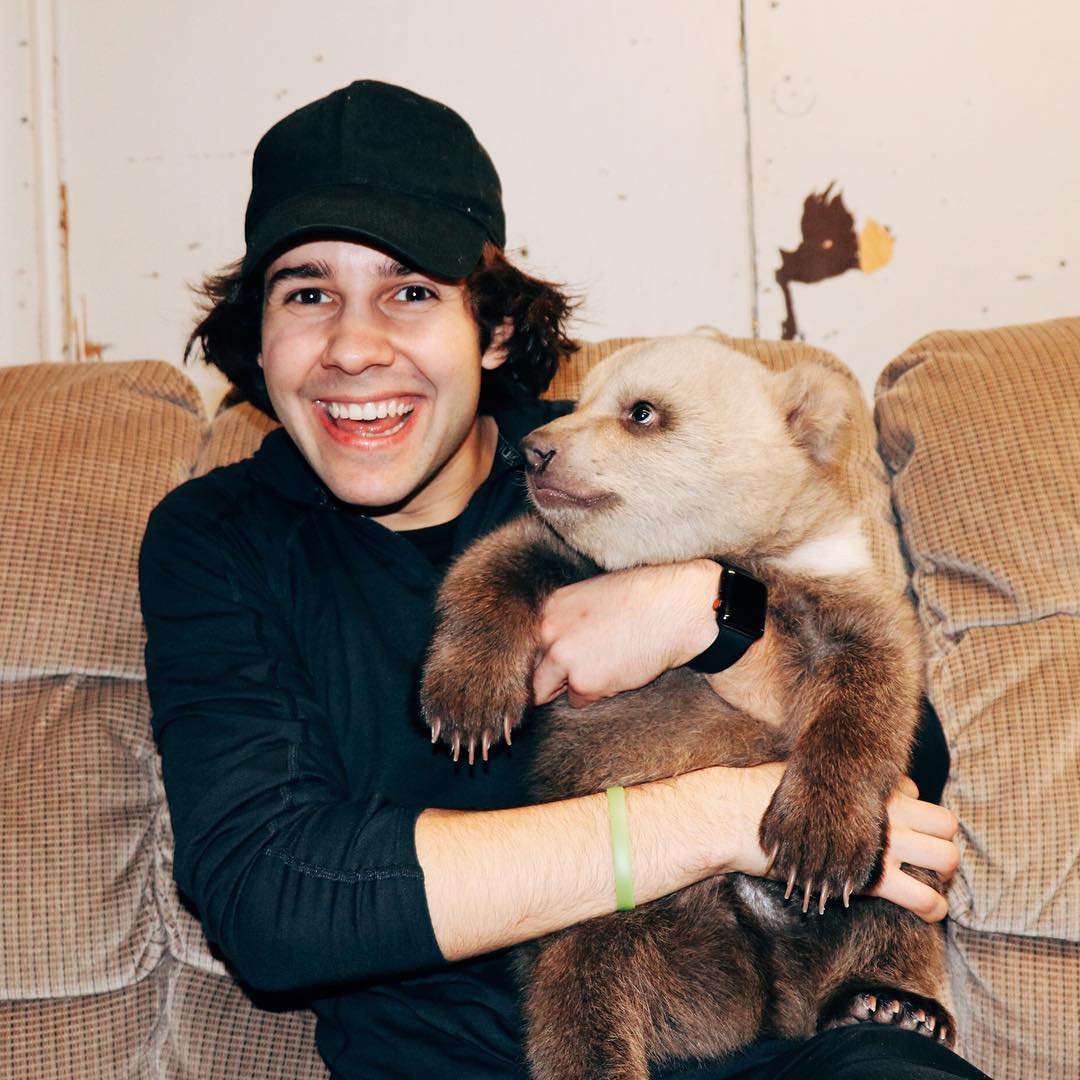 David Dobrik 