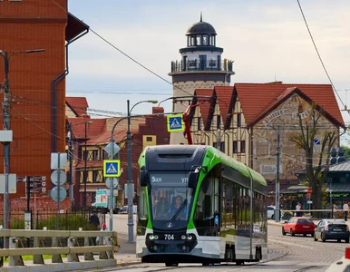 Miniatura: Nowe „połączenie wstydu” z Polski. Rośnie...