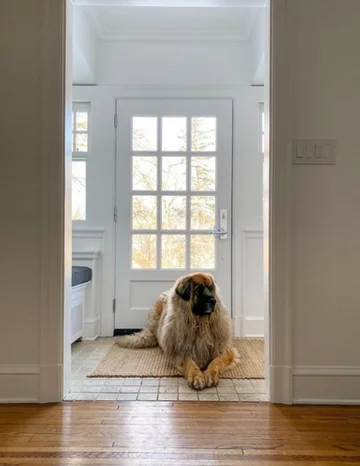 Lamont i jego przyjaciele 