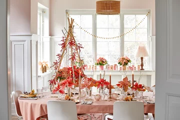 Poinsecja znana także jako gwiazda betlejemska 