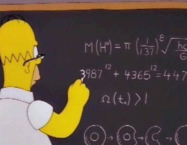 Miniatura: Homer Simpson przewidział masę bozonu...