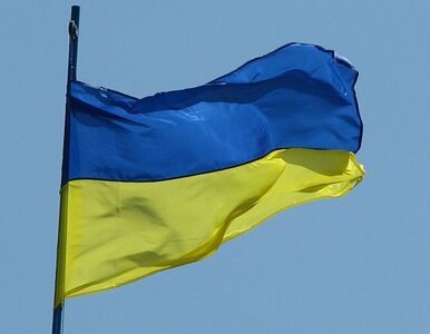 Miniatura: Ukraina: opozycja nie chce zmian w...