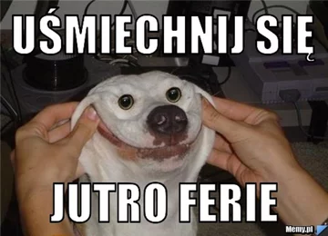 Mem z okazji ferii zimowych 