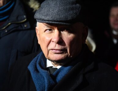 Miniatura: Kaczyński może liczyć na lojalność i puste...