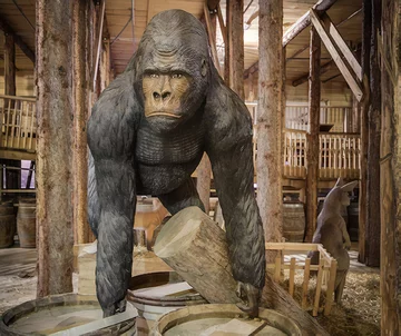 Holender zbudował ją w cztery lata 