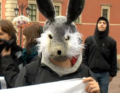 Miniatura: Obrońcy zwierząt protestowali pod Kolumną...