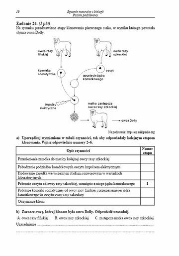 Matura 2013. Zobacz arkusze egzaminacyjne z biologii - poziom podstawowy (fot.CKE)