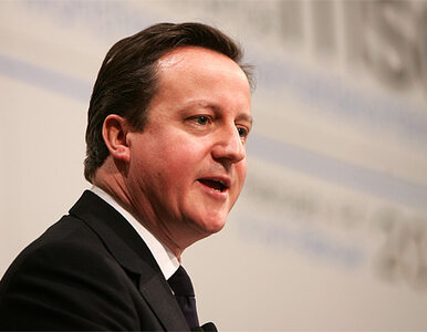 Miniatura: Cameron nie wyśle wojsk lądowych do Libii