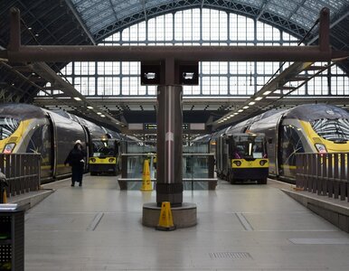 Miniatura: Pierwsze kraje z pociągami Ubera. Podano...