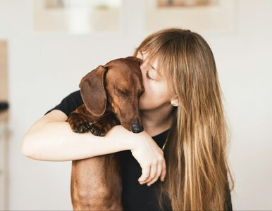 Miniatura: Czy można całować psy i koty? Lekarka...