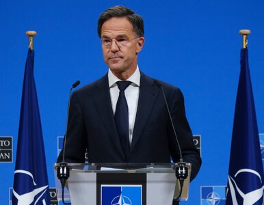 Miniatura: Bezprecedensowy krok NATO. Państwa...