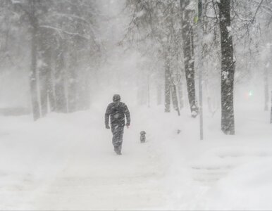 Miniatura: Śnieżyce uderzą dziś w Polskę. W tych...