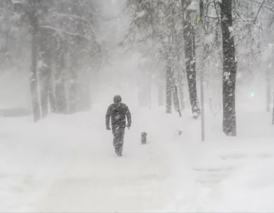 Miniatura: Śnieżyce uderzą dziś w Polskę. W tych...