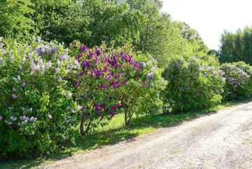 Warmia House Cezarego i Edyty Pazurów 