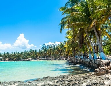 Miniatura: Ta wyspa podniosła ceny wiz turystycznych....