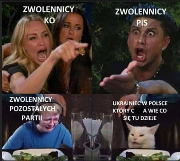 Mem po wyborach parlamentarnych 2019 