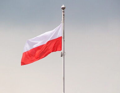 Nowe święto w Polsce. Czy jutro będziemy mieć wolne?
