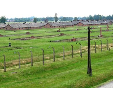 Miniatura: Muzeum Auschwitz-Birkenau obchodzi 65. lat