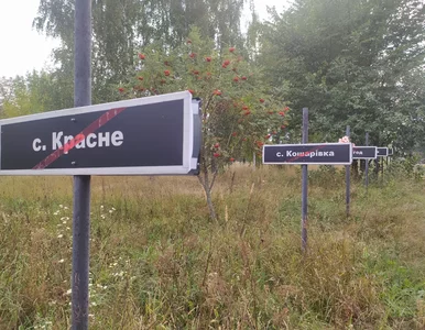 Miniatura: Czarnobyl znów może karmić ludzi? Naukowcy...