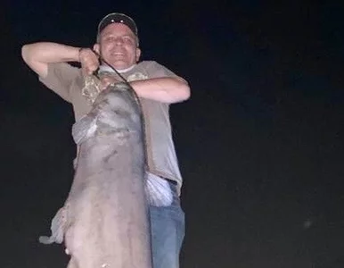 Miniatura: Złowił rybę ważącą 45 kg. Jest niemal...