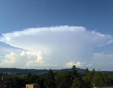 Miniatura: Polak drugim meteorologiem świata