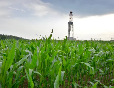 Miniatura: Gaz kluczem do neutralności klimatycznej