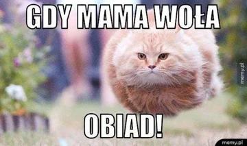 Mem na Dzień Mamy 