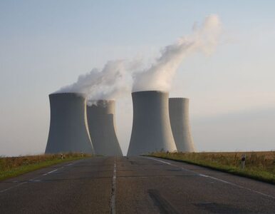 Miniatura: Rosatom chce budować elektrownię atomową w...