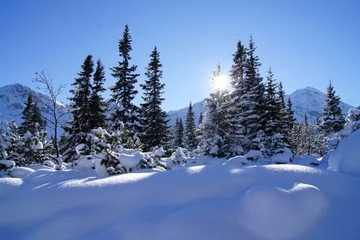 4. Dolina Gąsienicowa (fot. Wanda Modzelewska)