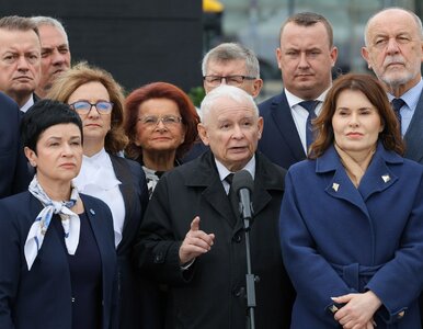 Miniatura: Tym partiom Polacy zarzucają największe...