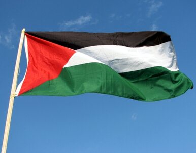 Miniatura: Izrael atakuje RPA. "To kraj apartheidu"