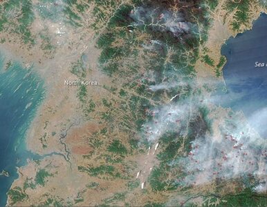 Miniatura: Korea Północna w ogniu. NASA pokazuje zdjęcia