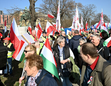 Miniatura: Polskie flagi na ulicach Budapesztu. Tusk...