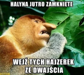 Dzień wolny? Internauci odpowiadają memami 