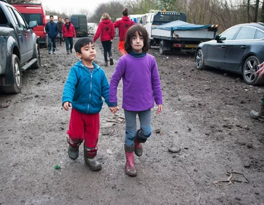 Miniatura: Znamy kryteria przyjmowania uchodźców do...