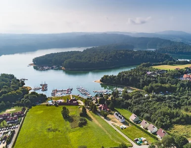 Miniatura: Mężczyzna wspiął się na drzewo i runął do...