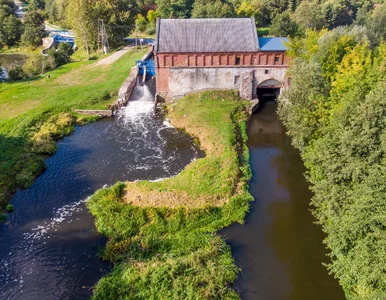 Miniatura: Inwestycja w OZE? To się opłaca