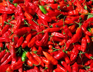 Miniatura: Chciał być najlepszy. Skończył z dziurą w...