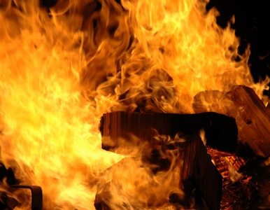 Miniatura: Dziewięć ofiar pożaru w domu starców w Chile
