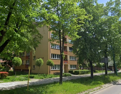 Miniatura: Makabryczne odkrycie w Tychach. W...