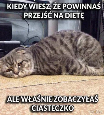 „Dietetyczne” memy 