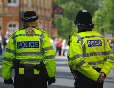 Miniatura: Romskie dzieci wróciły do rodziny. To od...