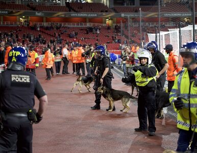 Miniatura: Chaos na stadionie, kibice siłą wdarli się...
